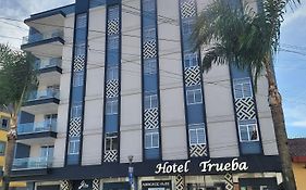 Hotel Trueba